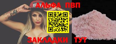 стаф Кингисепп