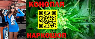 стаф Кингисепп