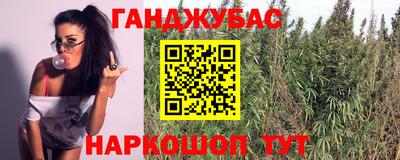 стаф Кингисепп