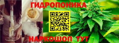 шишки Кинель