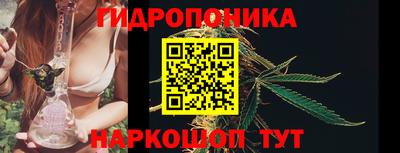 шишки Кинель