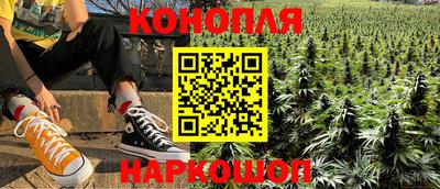 стаф Кингисепп