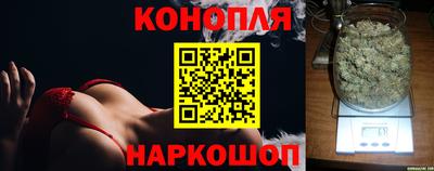 шишки Кинель
