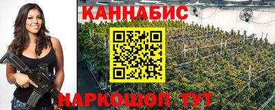 шишки Кинель