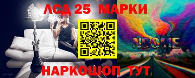 стаф Кингисепп