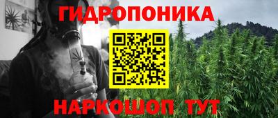 шишки Кинель