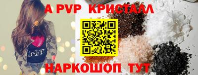 стаф Кингисепп