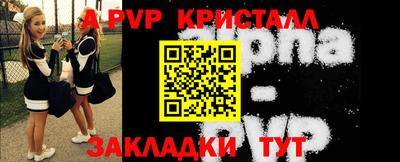 стаф Кингисепп