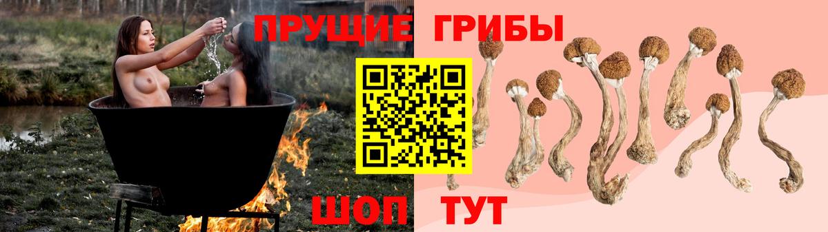 Псилоцибиновые грибы мицелий  Галлюциногенные грибы мицелий  Коркино  Вход с VPN 